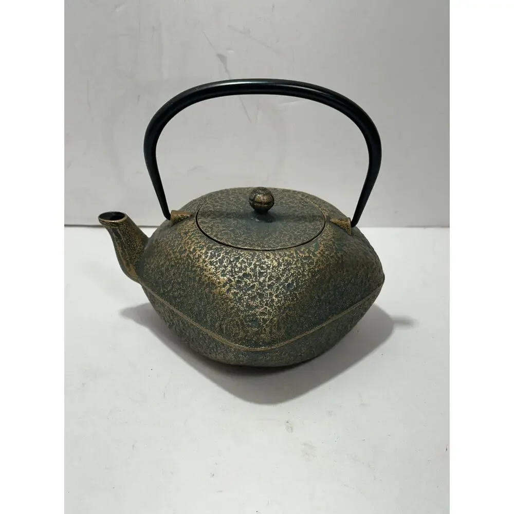 Japanese Rock Casting Iron Tea Pot‎ Kettle With Infuser Gorgeous Teapot Japan